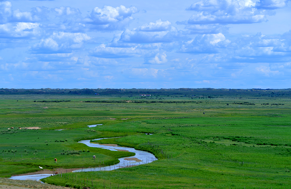 DSC_7914.JPG