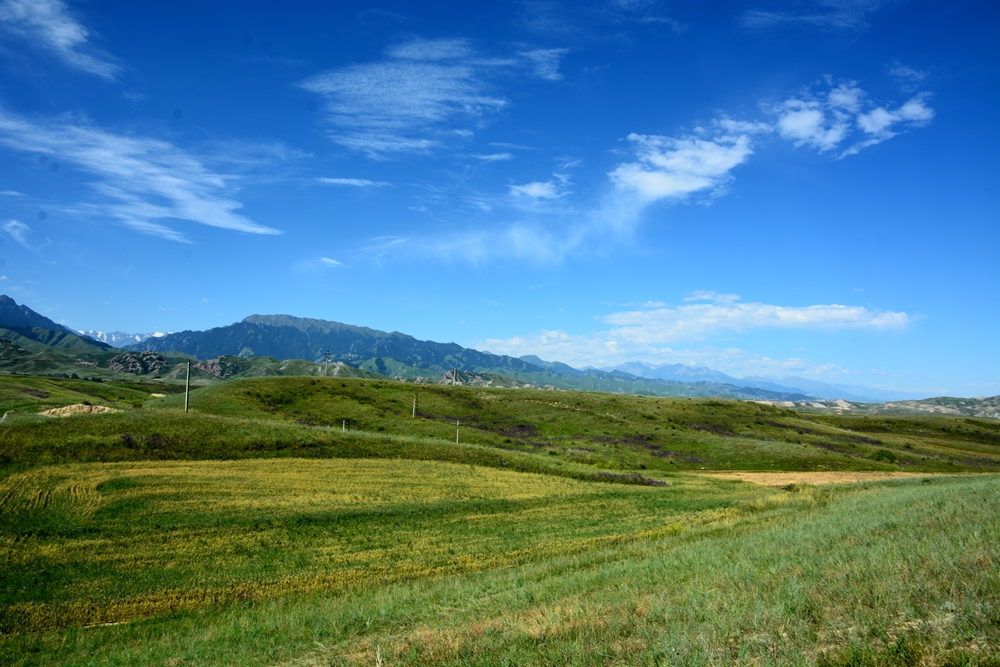 ʯ 058_.jpg
