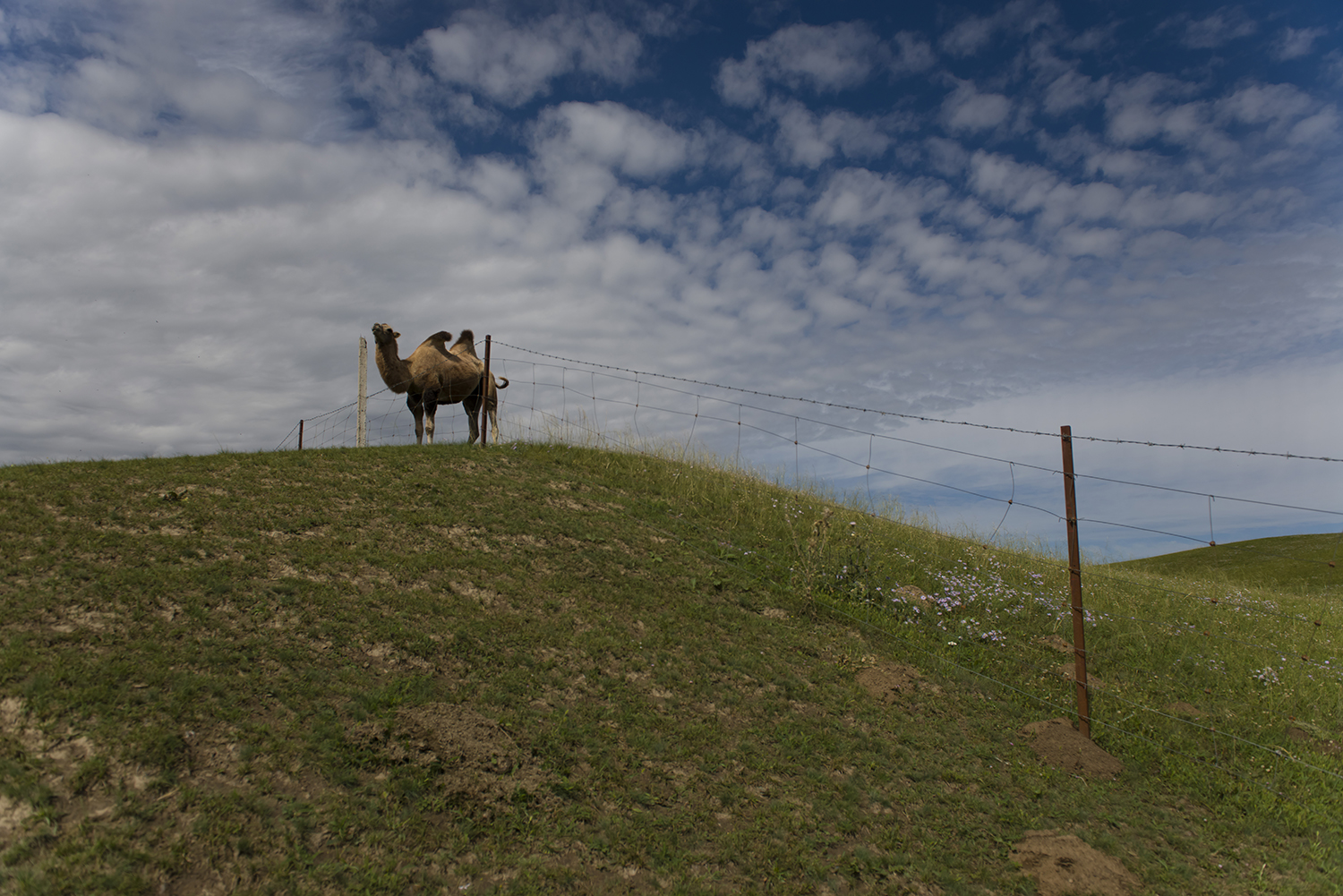 _DSC4660.JPG