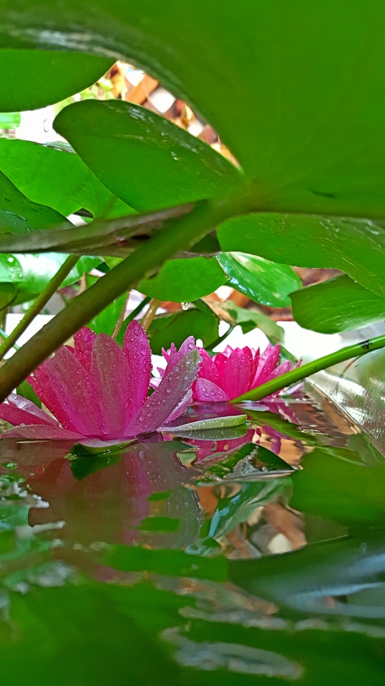 20160816_0708320.jpg