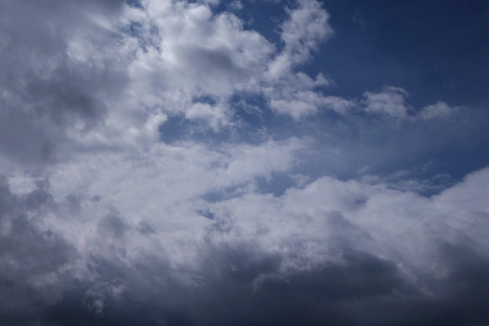 DSC06291_.jpg