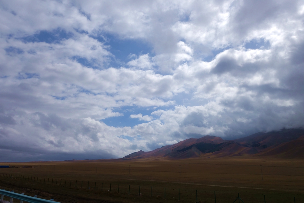 DSC06264_.jpg