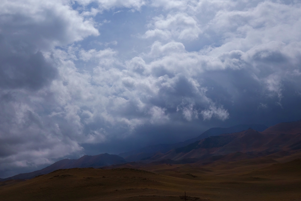 DSC06276_.jpg