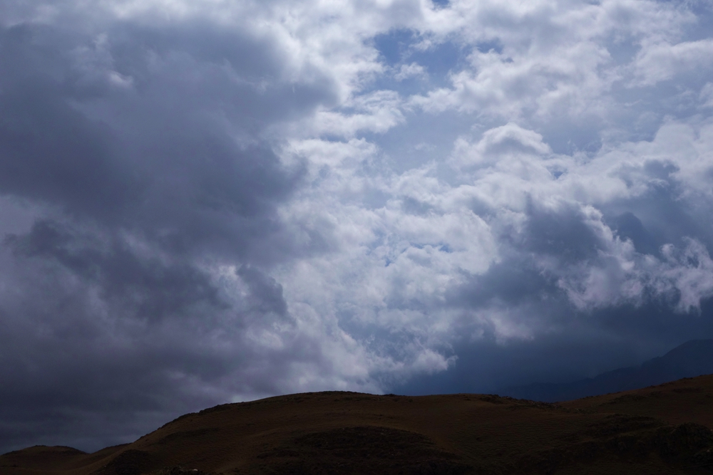 DSC06279_.jpg