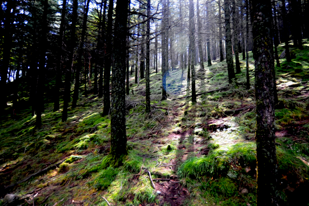 DSC_5852.JPG