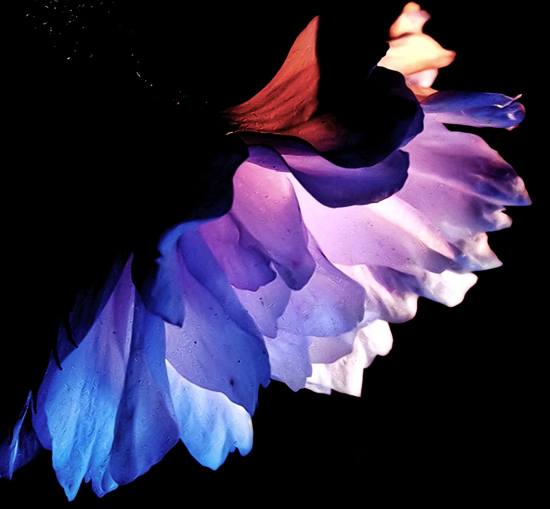 1  𽱣º-C1⡷.jpg.jpg
