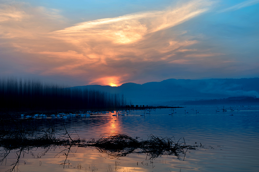 DSC_8119.JPG