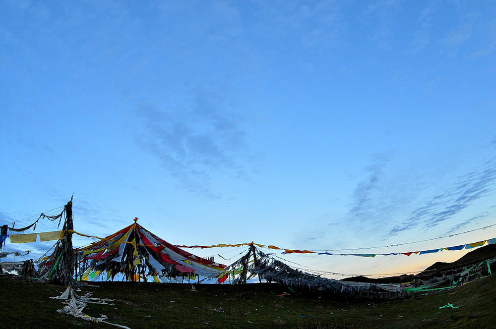 DSC_0042.JPG