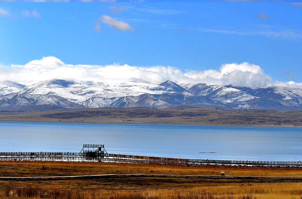 DSC_0133.JPG