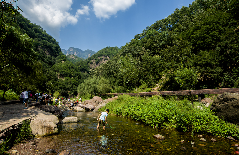 DSC_0184.jpg
