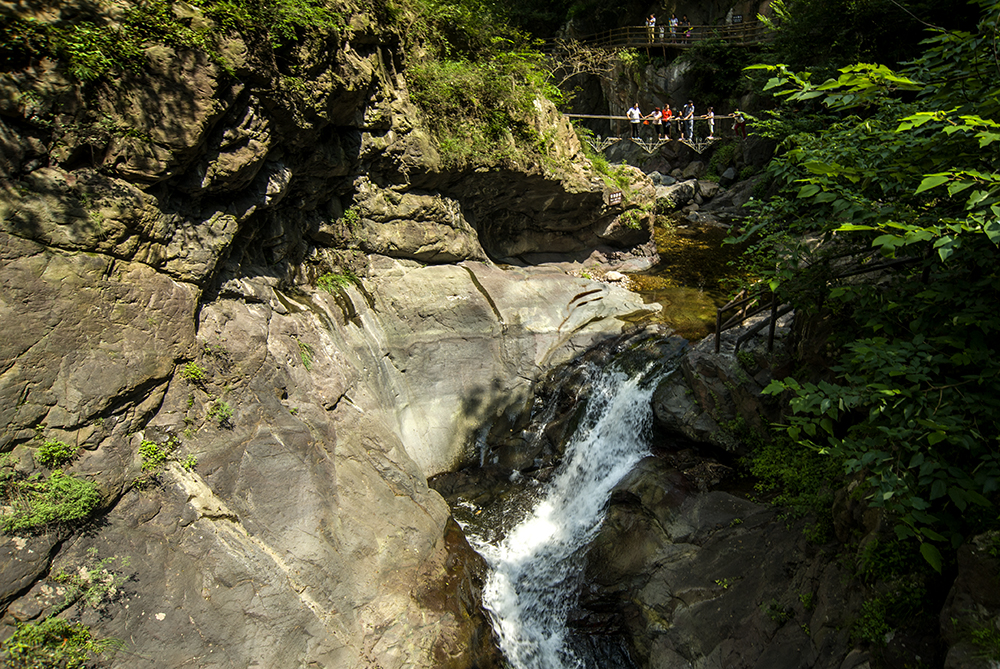 DSC_0228.jpg