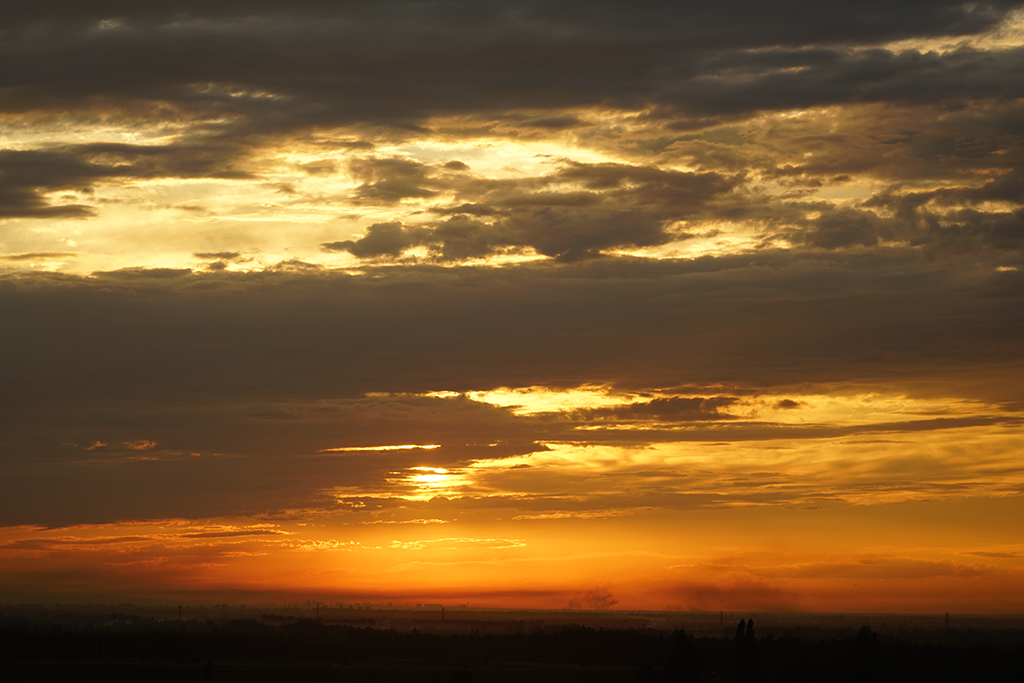 DSC03178.JPG
