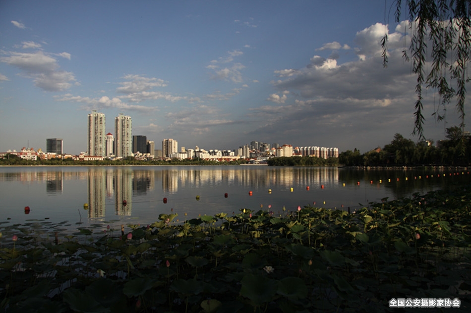img_2912_.jpg
