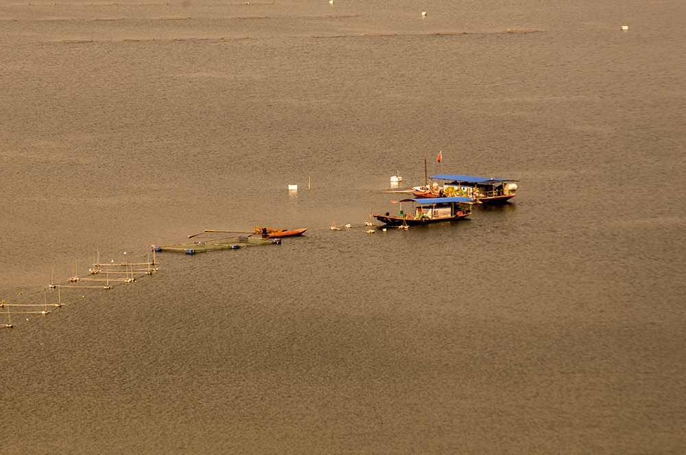 DSC_0002.jpg