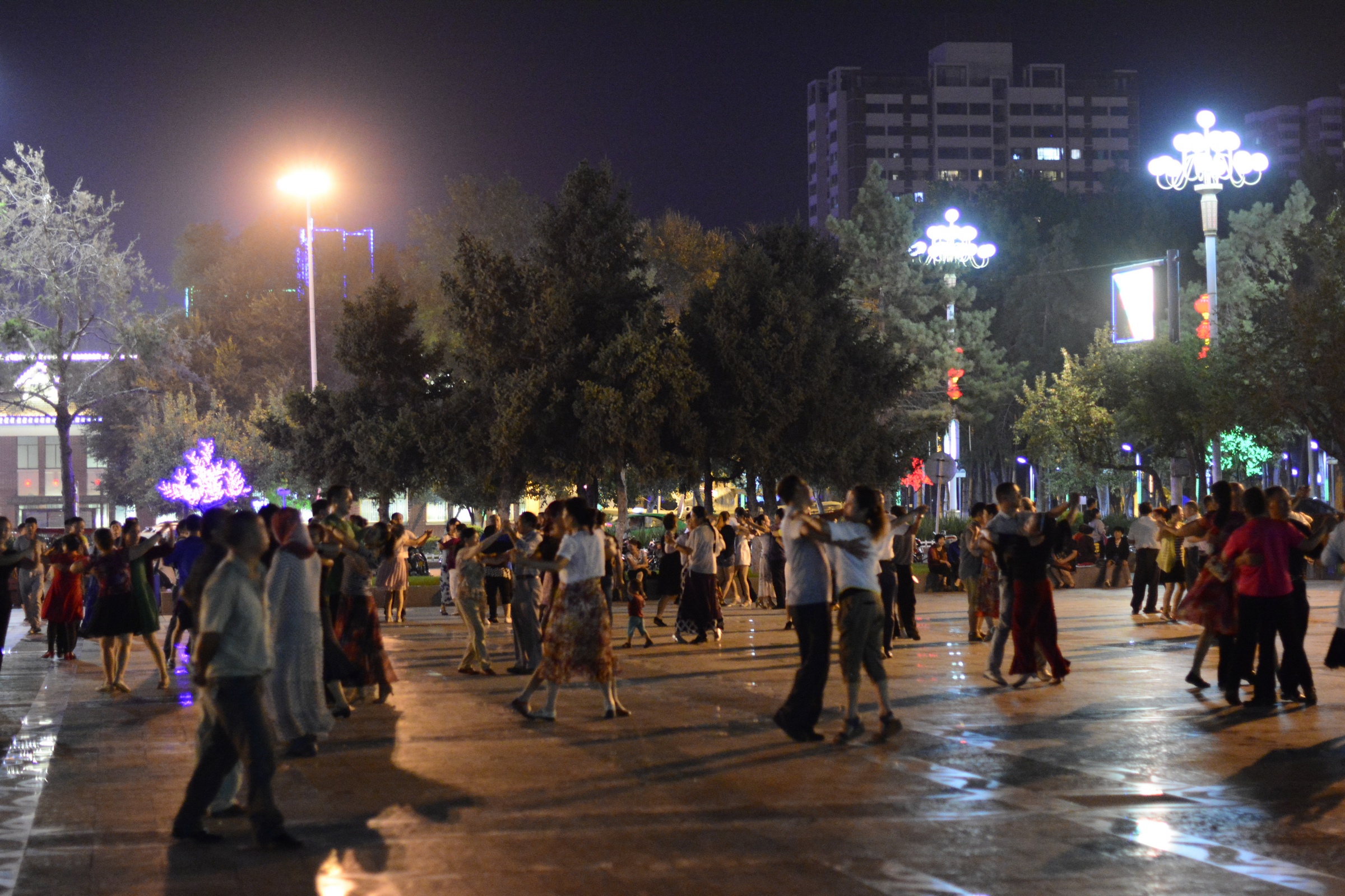 nEO_IMG__DSC5350.jpg