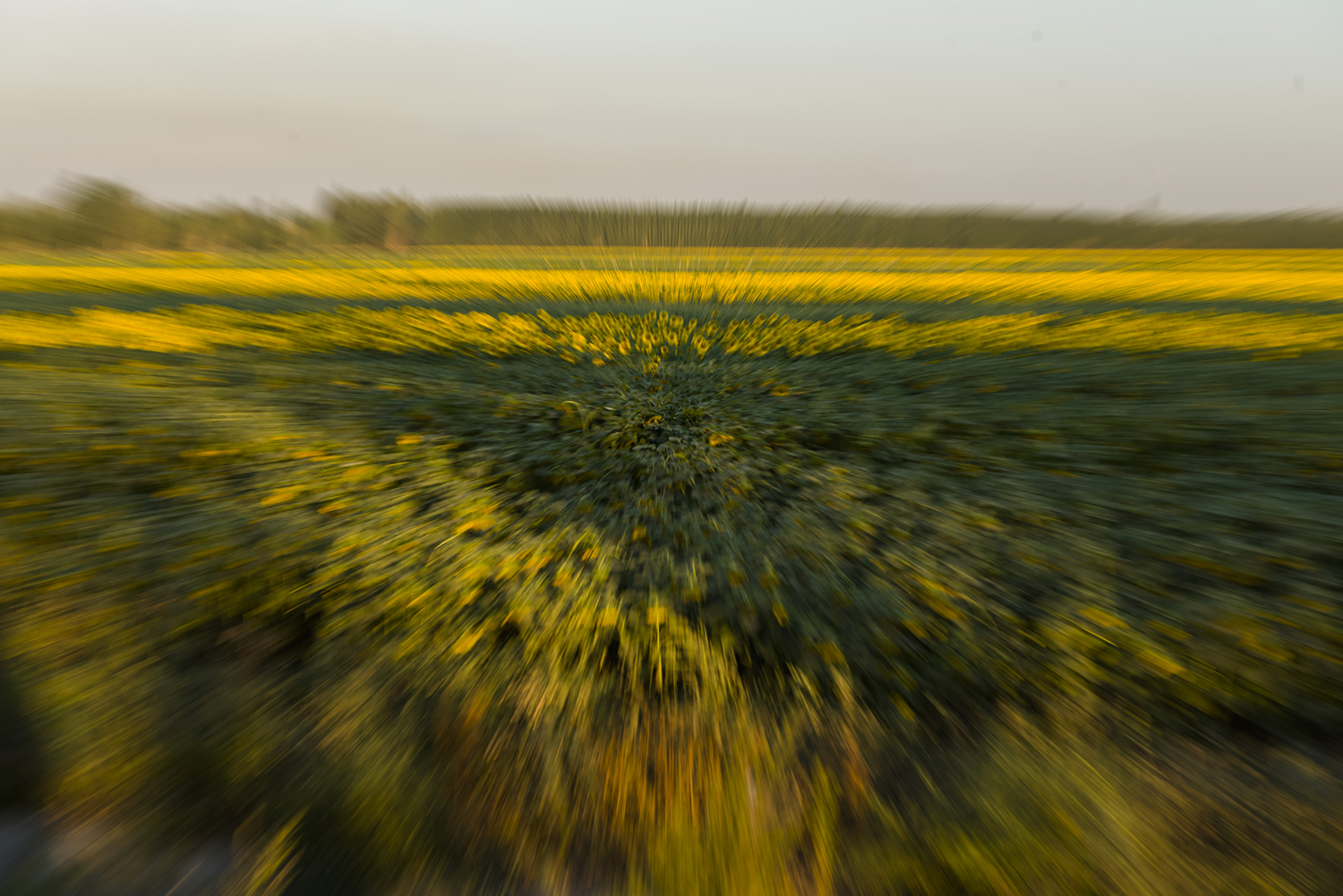 _DSC4864_1.JPG