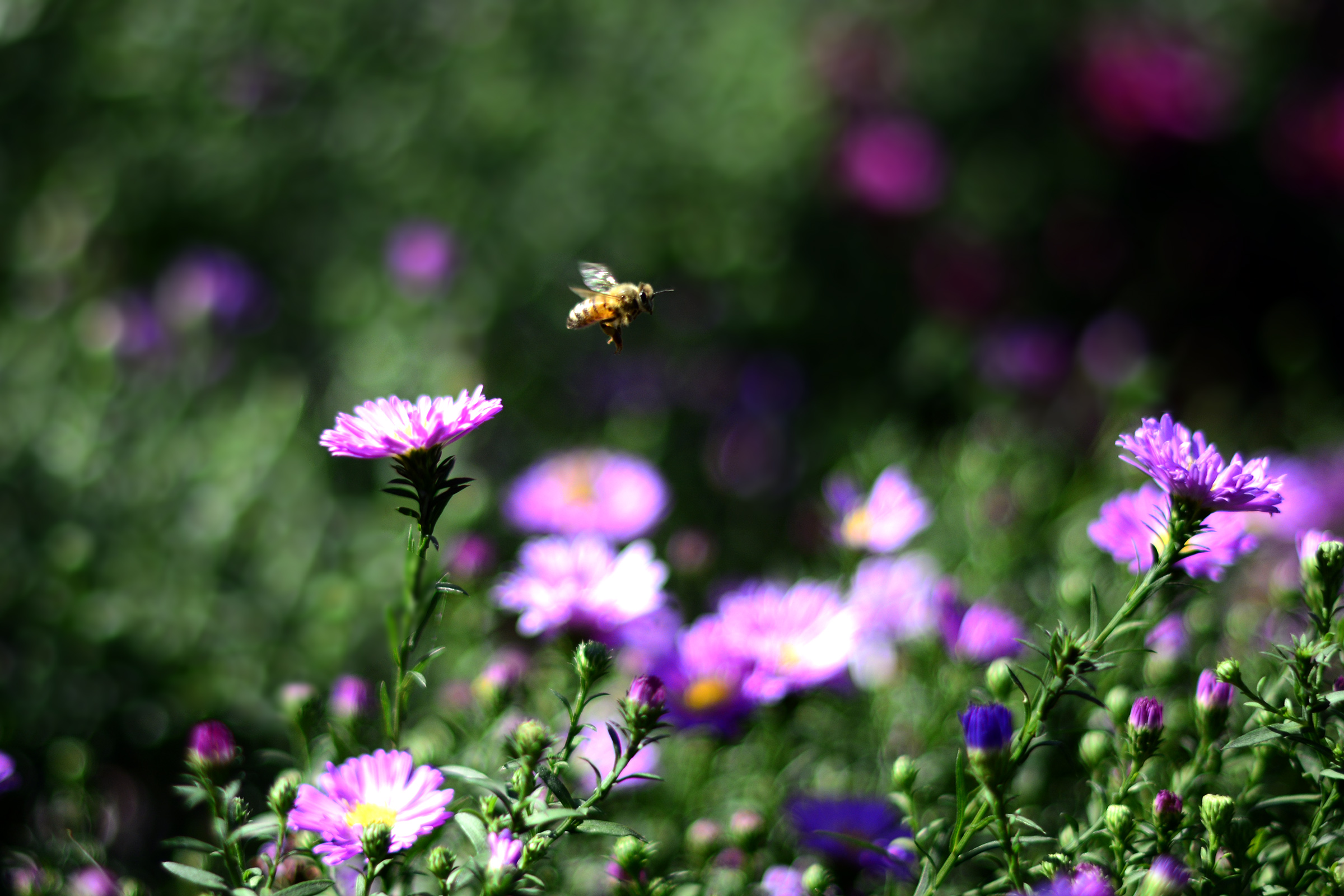 _DSC5664.jpg
