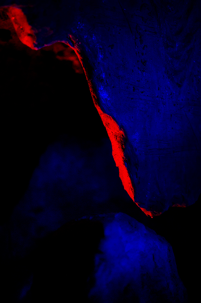 DSC_0442.jpg