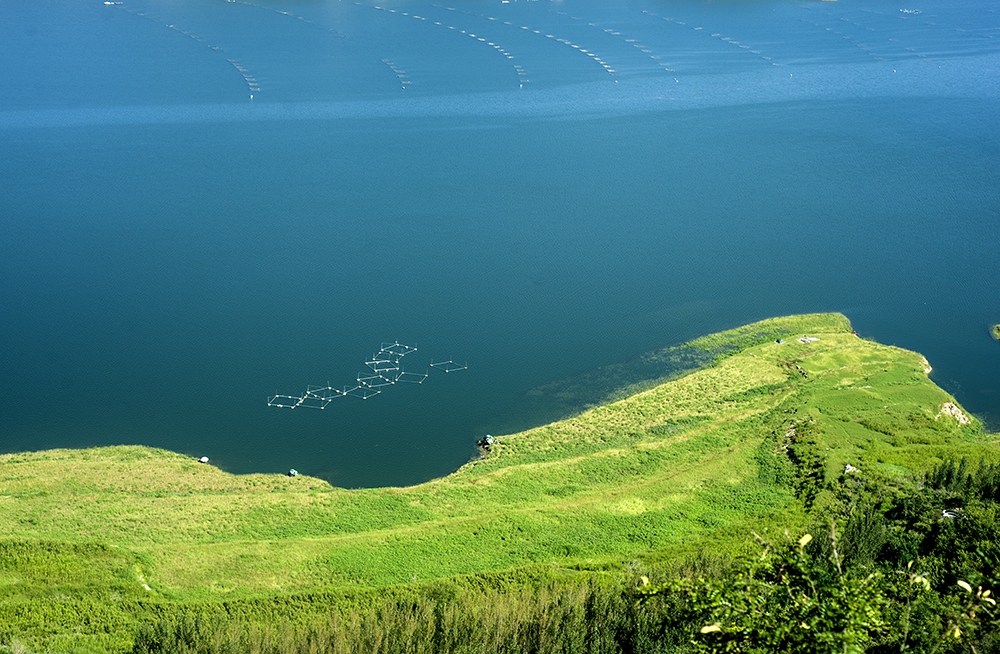 DSC_0445.jpg