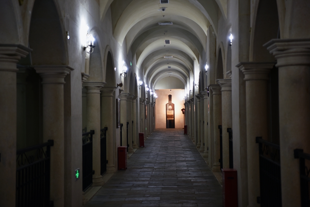 DSC_8073_.jpg