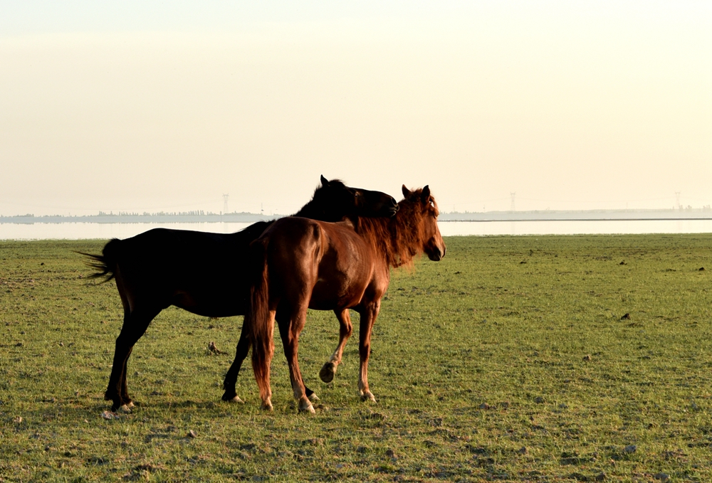 DSC_7946__.jpg