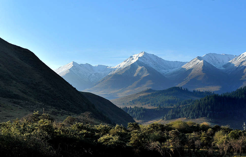 DSC_0782.JPG