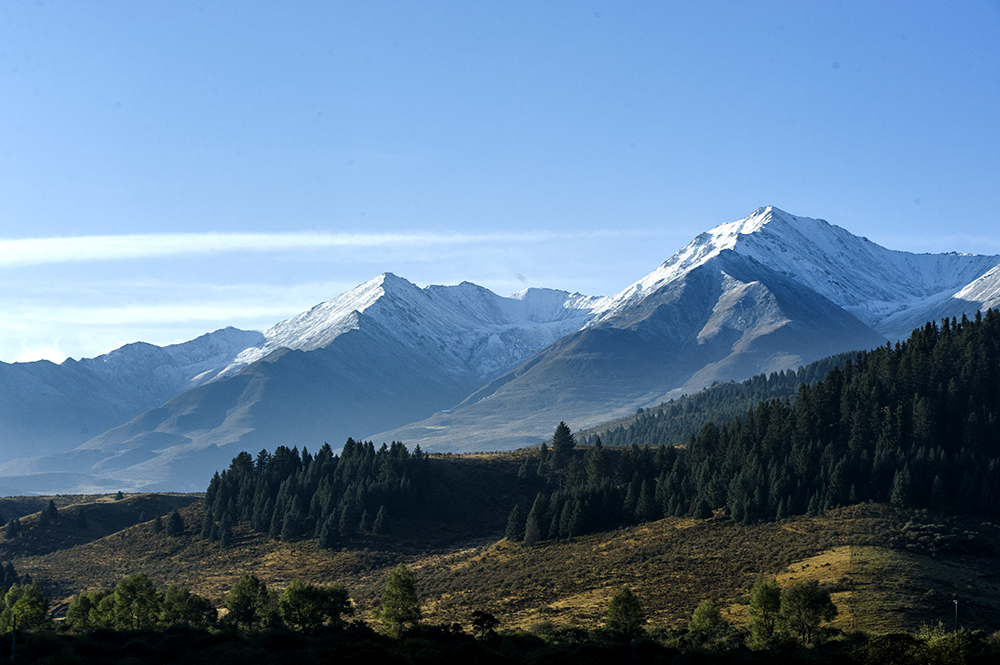 DSC_0797.jpg