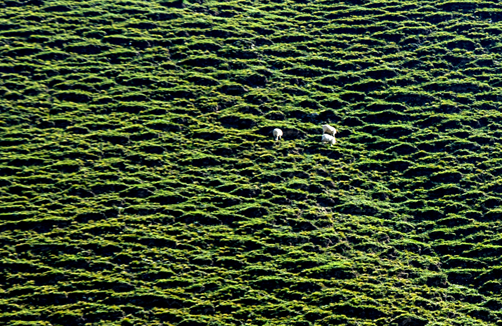 DSC_0887.jpg