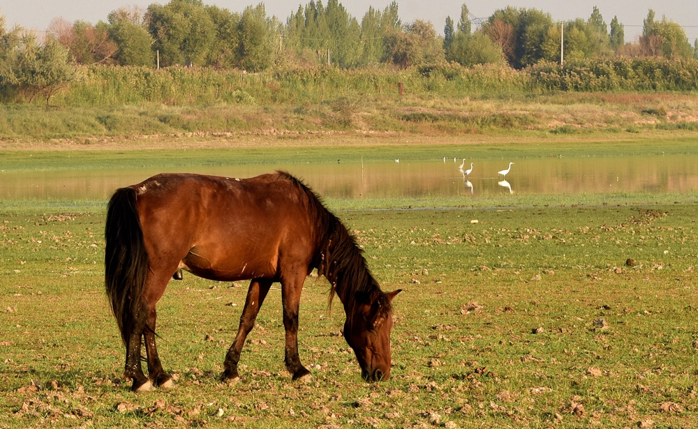 DSC_7981__.jpg