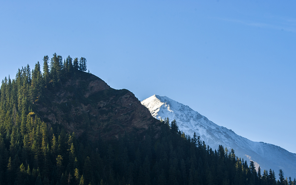 DSC_0825.jpg