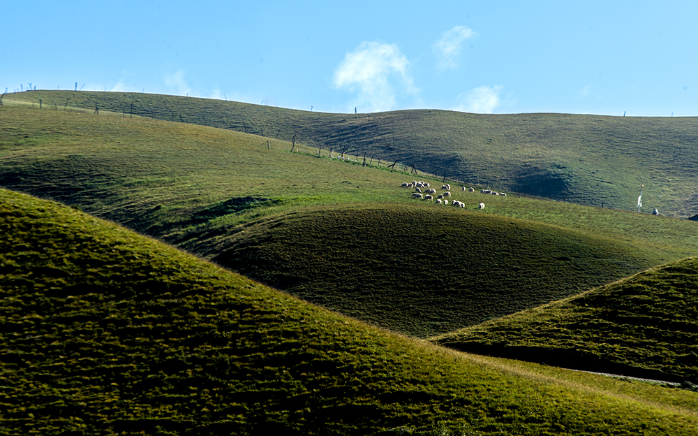 DSC_0848.jpg