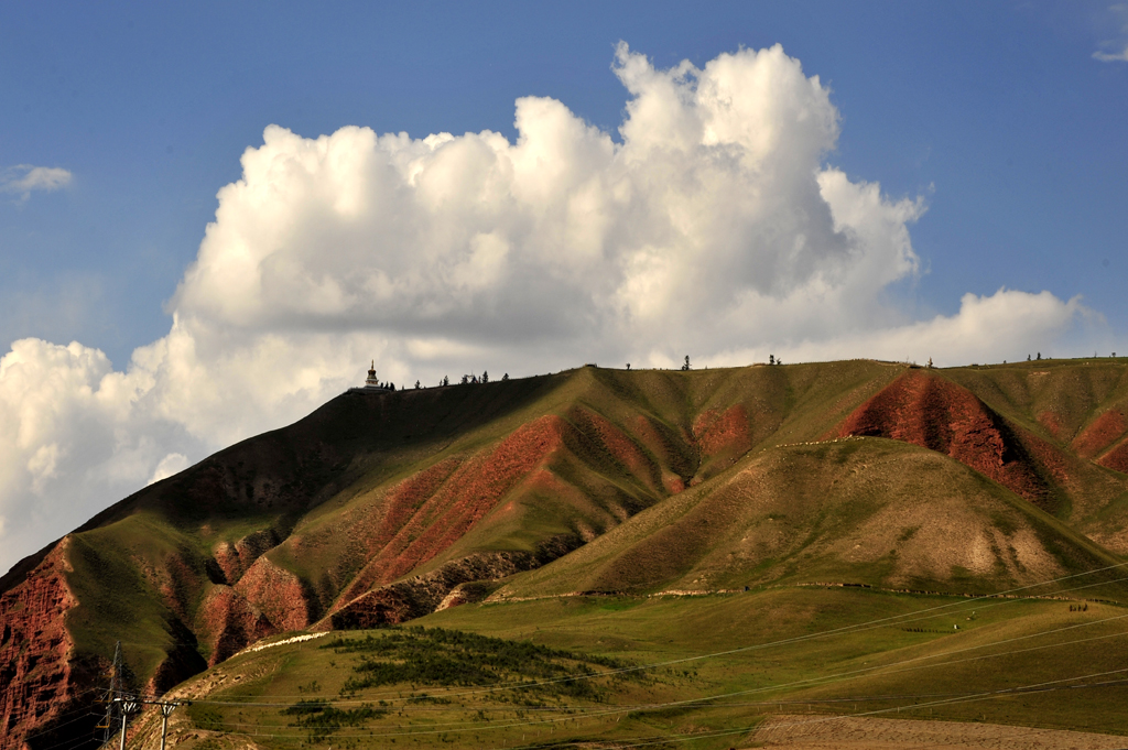 _DSC4459.jpg