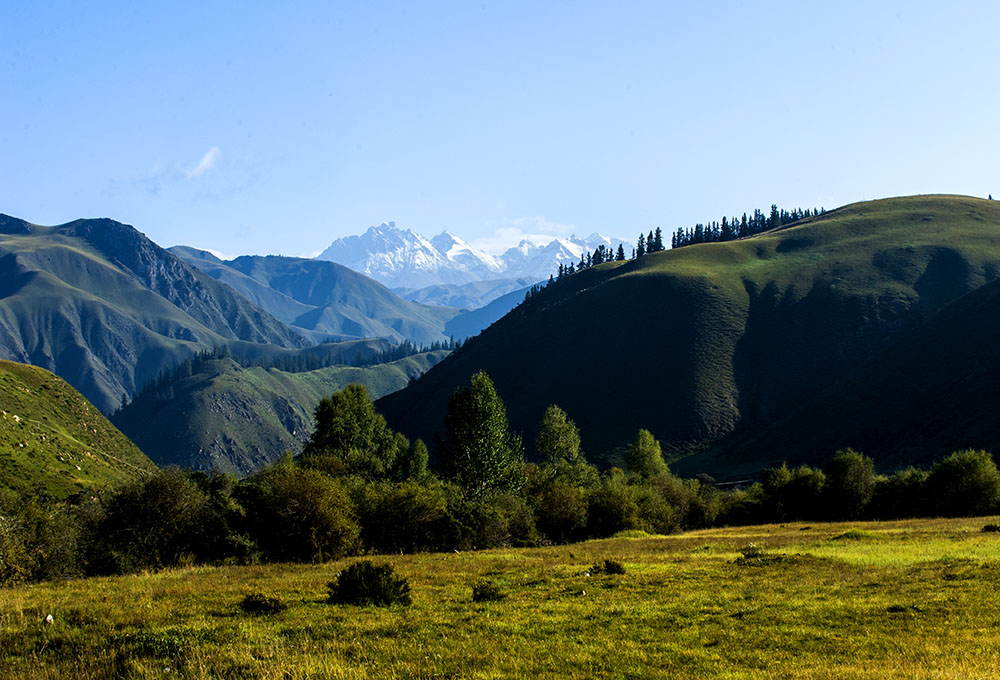 DSC_0830.jpg
