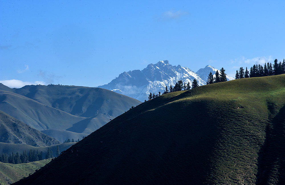 DSC_0832.jpg