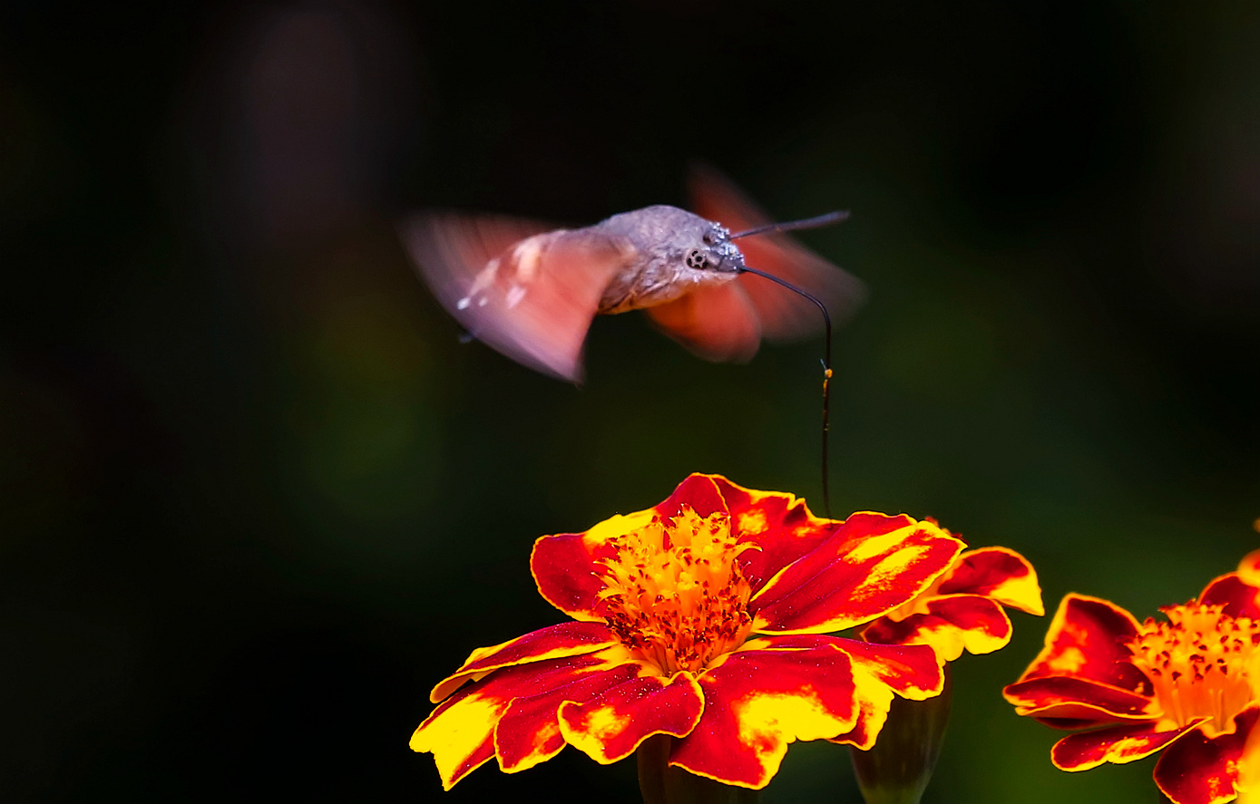 168A0868____.jpg