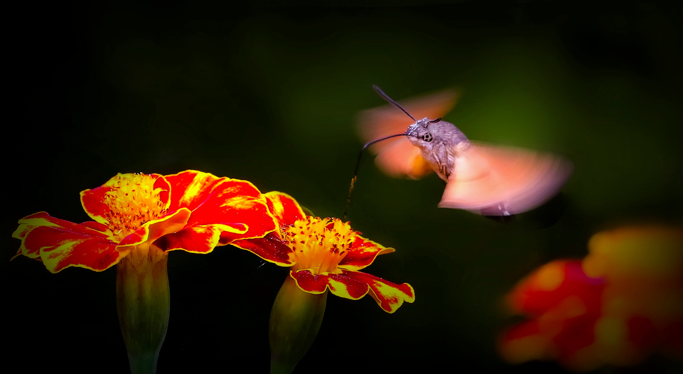 168A0780_____.jpg