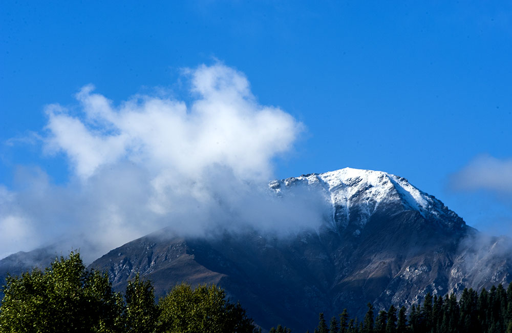 DSC_0836.jpg