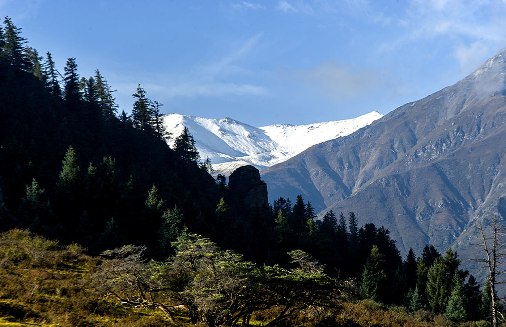 DSC_0841.jpg