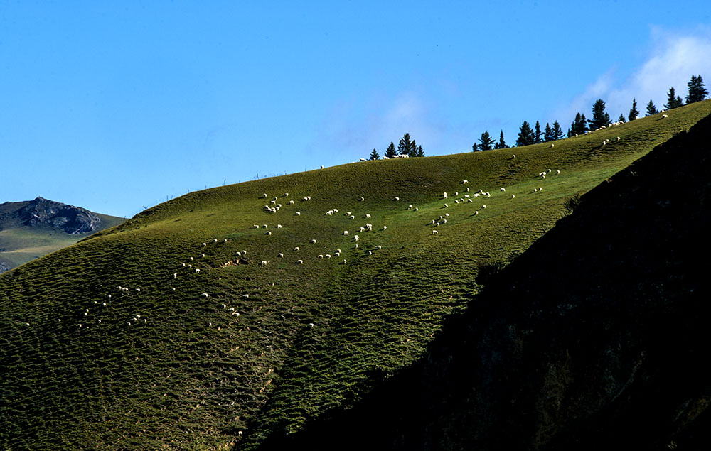 DSC_0873.jpg