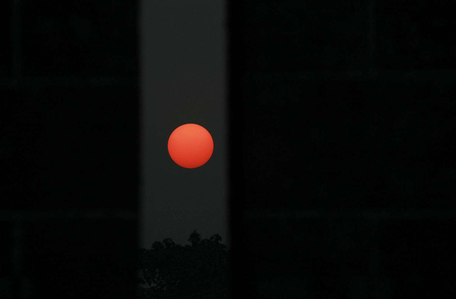 5C9J0679.jpg
