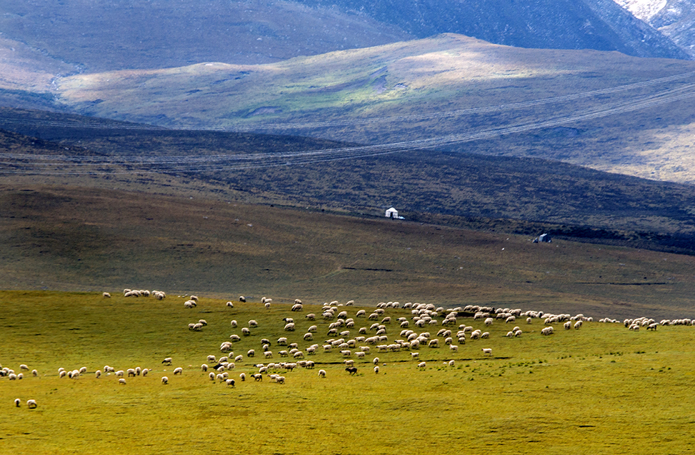 DSC_0236.jpg