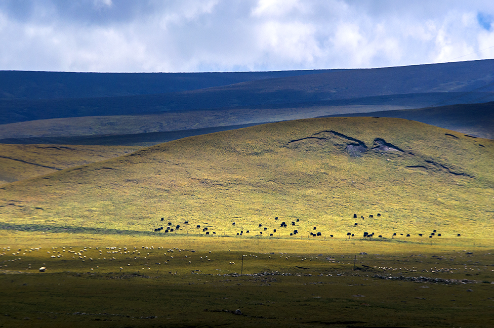 DSC_0248.jpg