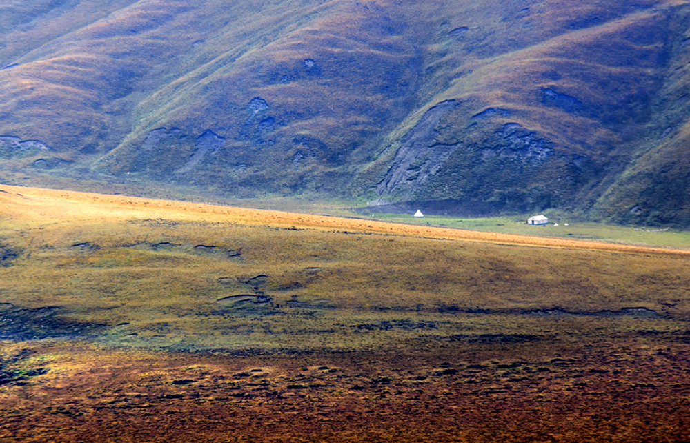 DSC_0272.jpg