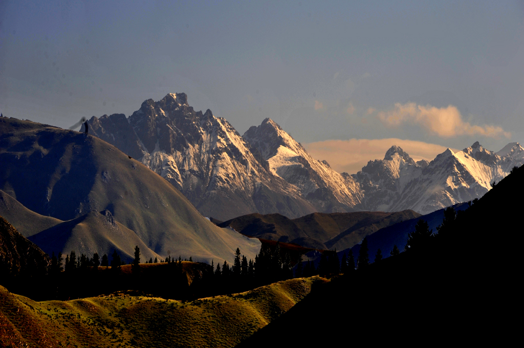 _DSC4201----.jpg
