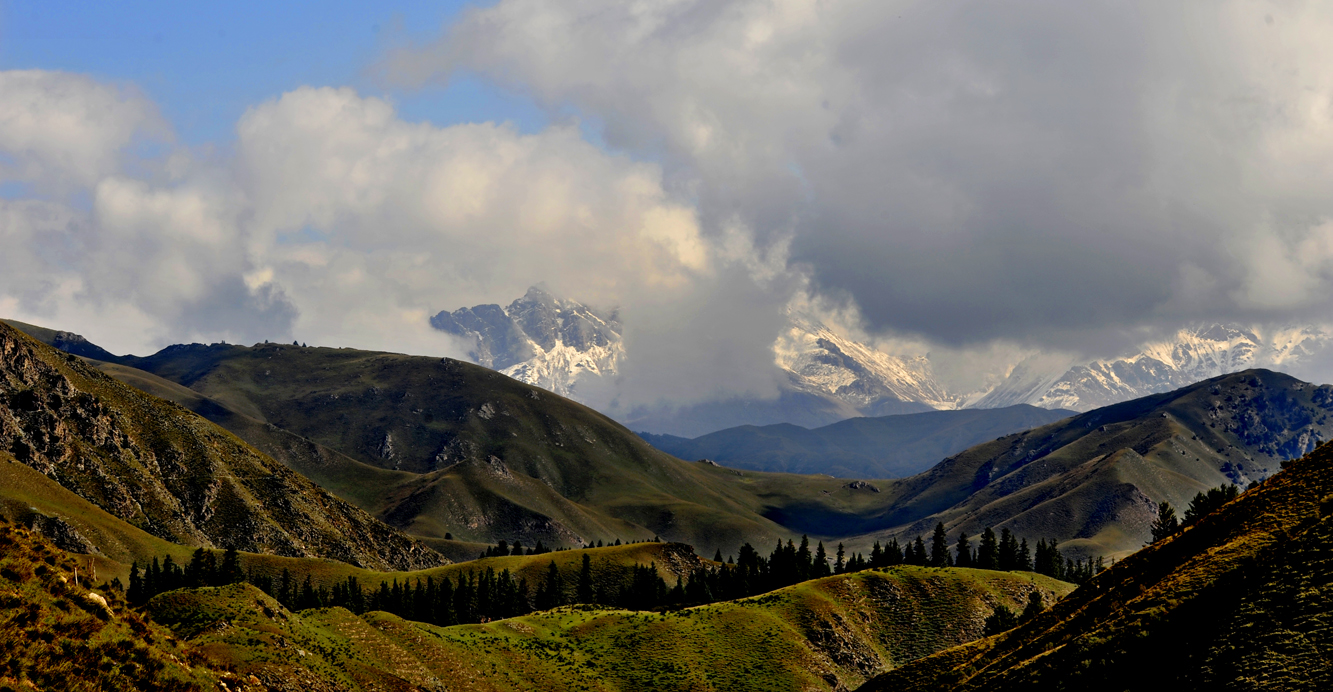 _DSC4359.jpg