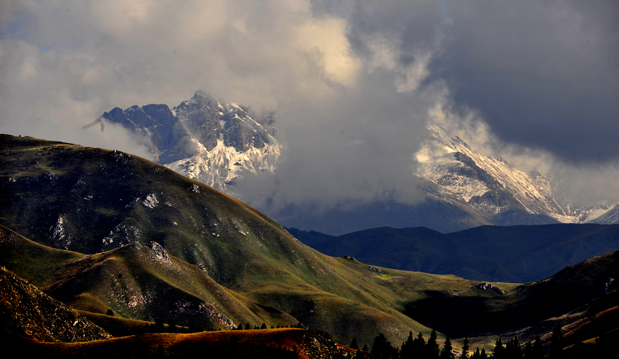 _DSC4368----.jpg