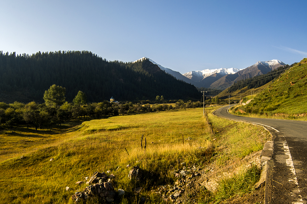 DSC_0142.jpg
