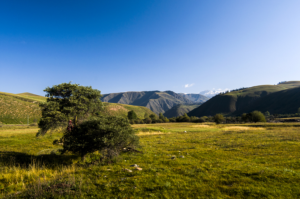 DSC_0157.jpg