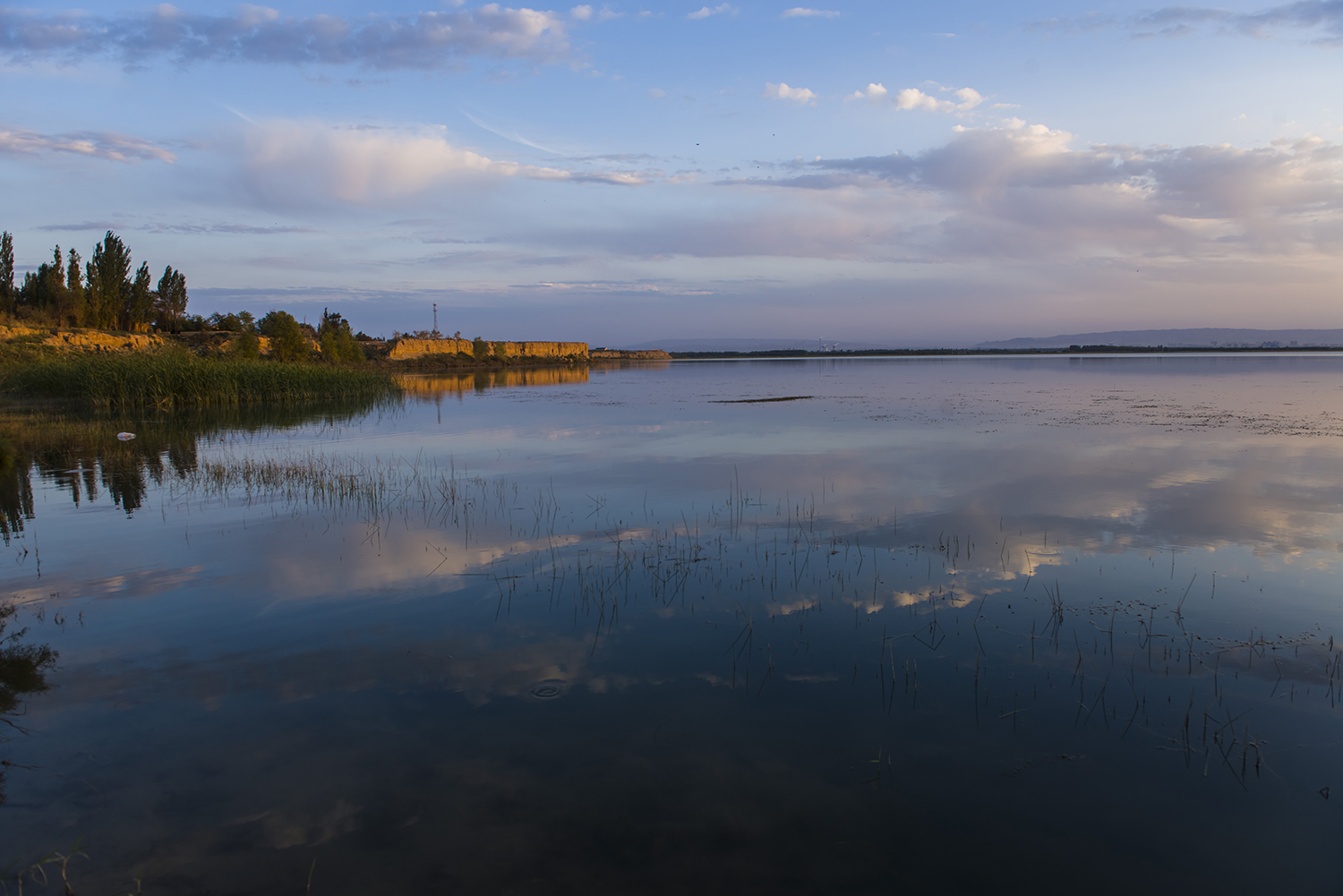 _DSC5127.JPG
