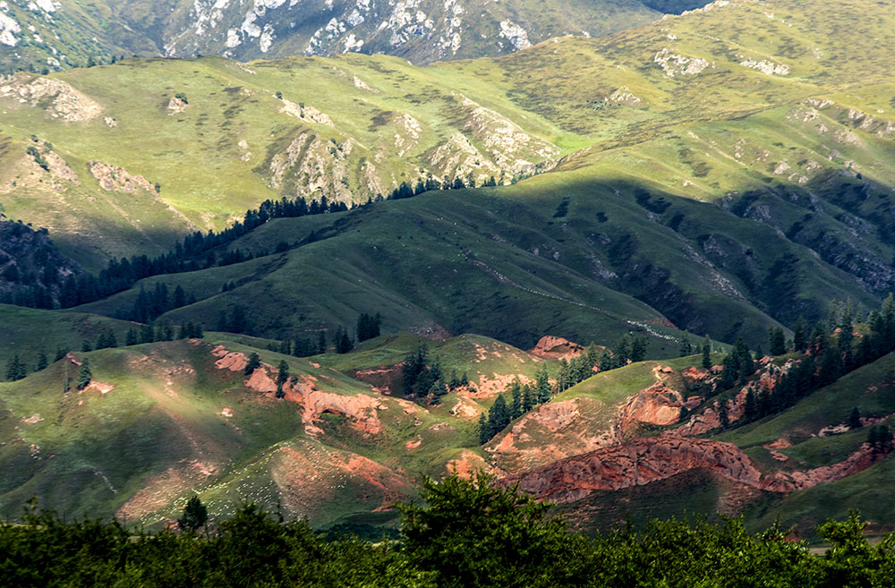 DSC_0924.jpg